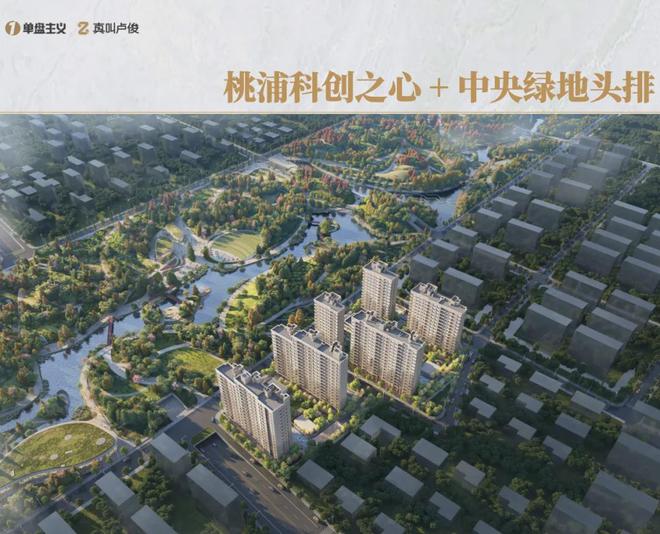 是今年上海最超预期的产品不朽情缘游戏网站登录这会(图9)