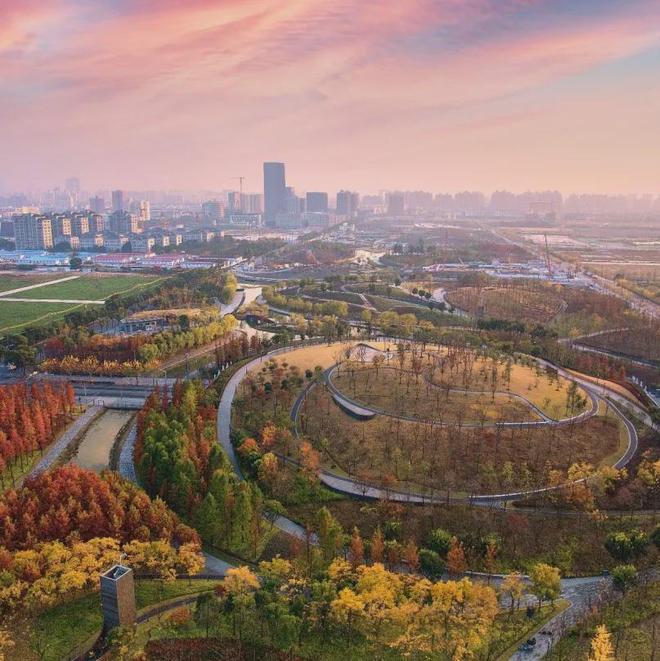 是今年上海最超预期的产品不朽情缘游戏网站登录这会(图19)