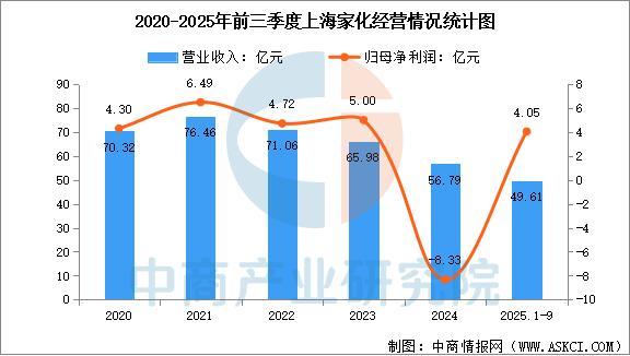 化妆品行业市场前景预测研究报告不朽情缘游戏入口2025年中国(图6)
